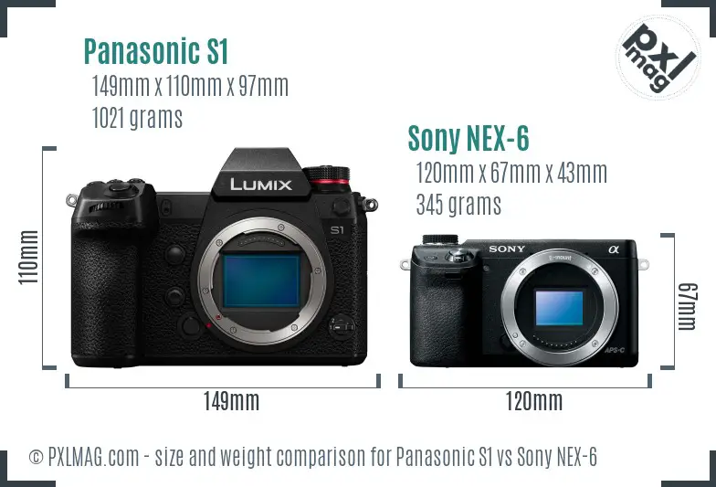 Panasonic S1 vs Sony NEX-6 size comparison