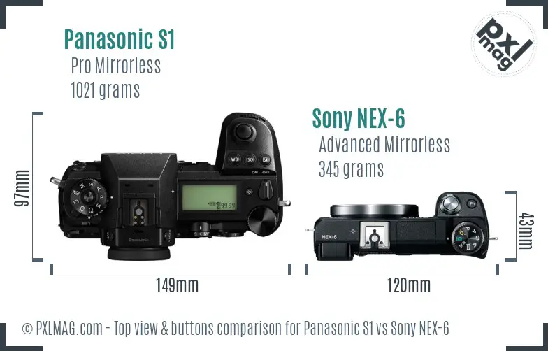 Panasonic S1 vs Sony NEX-6 top view buttons comparison