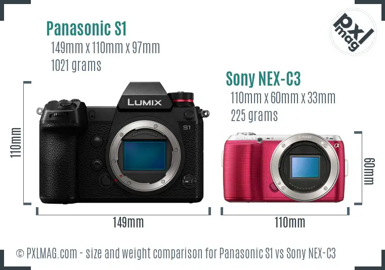 Panasonic S1 vs Sony NEX-C3 size comparison