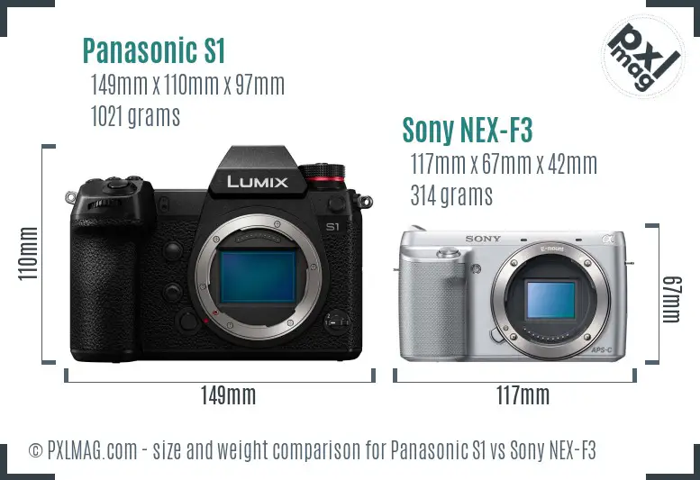 Panasonic S1 vs Sony NEX-F3 size comparison