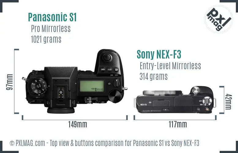 Panasonic S1 vs Sony NEX-F3 top view buttons comparison