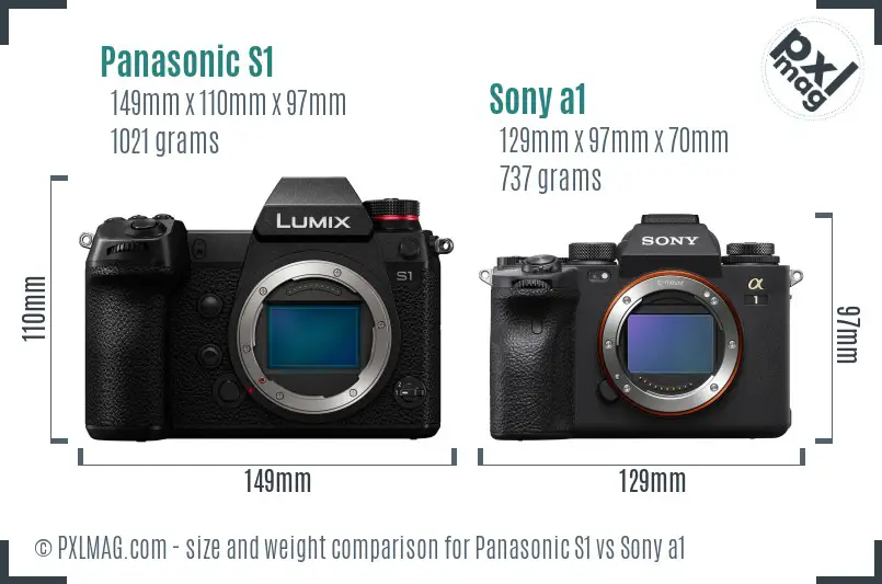Panasonic S1 vs Sony a1 size comparison