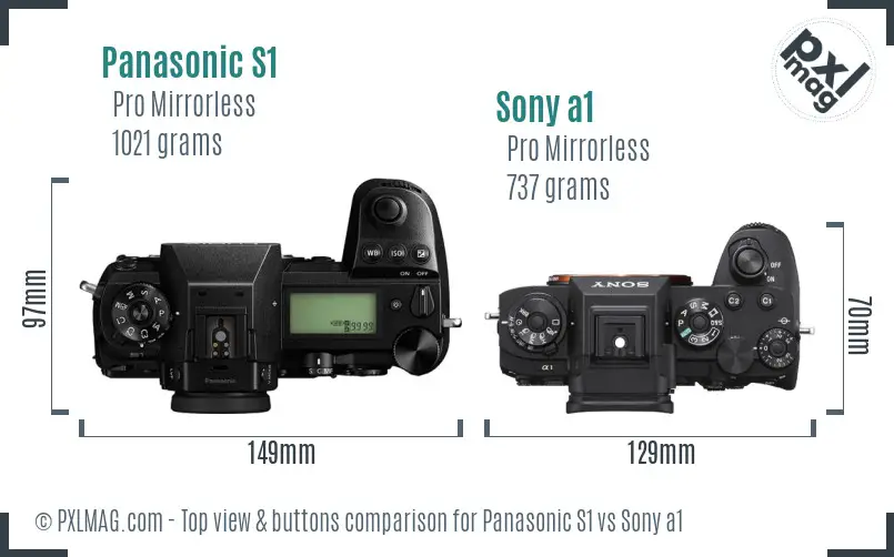 Panasonic S1 vs Sony a1 top view buttons comparison