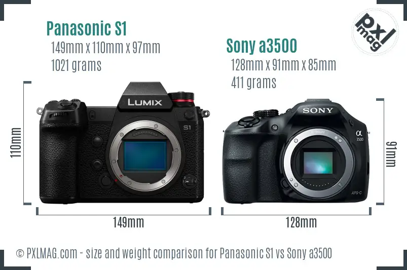 Panasonic S1 vs Sony a3500 size comparison