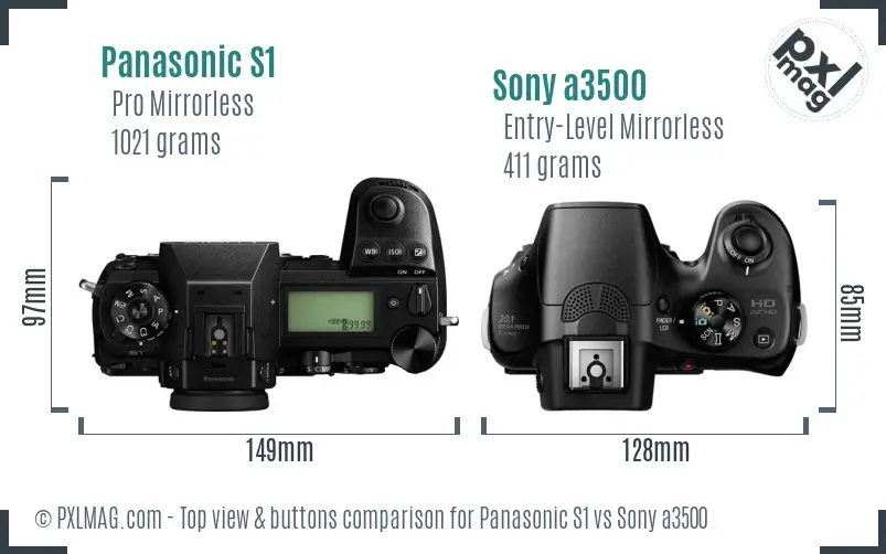 Panasonic S1 vs Sony a3500 top view buttons comparison