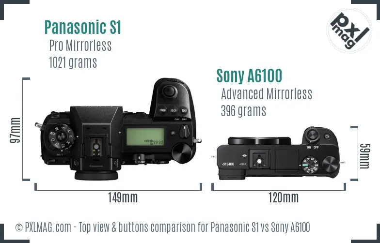 Panasonic S1 vs Sony A6100 top view buttons comparison