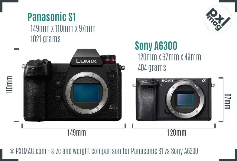 Panasonic S1 vs Sony A6300 size comparison