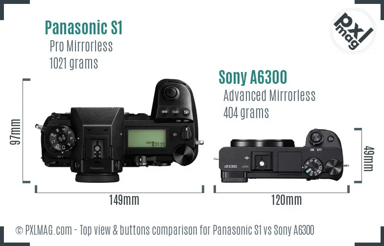 Panasonic S1 vs Sony A6300 top view buttons comparison