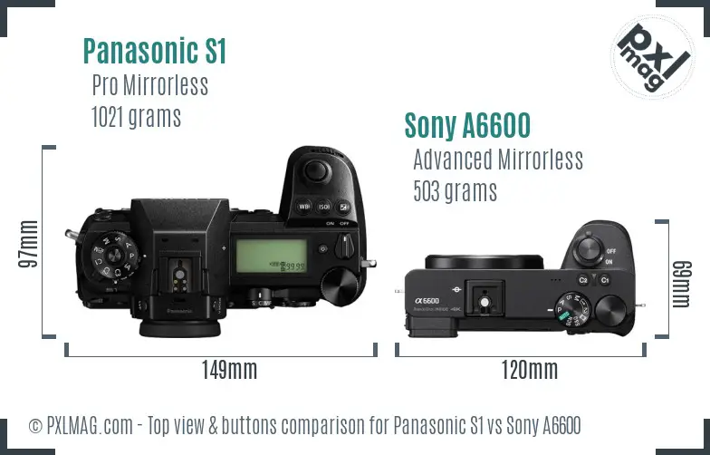 Panasonic S1 vs Sony A6600 top view buttons comparison