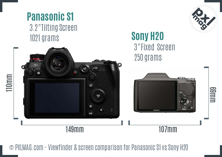 Panasonic S1 vs Sony H20 Screen and Viewfinder comparison