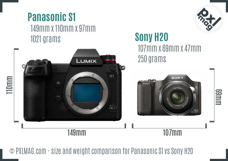 Panasonic S1 vs Sony H20 size comparison