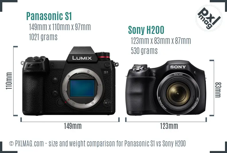 Panasonic S1 vs Sony H200 size comparison