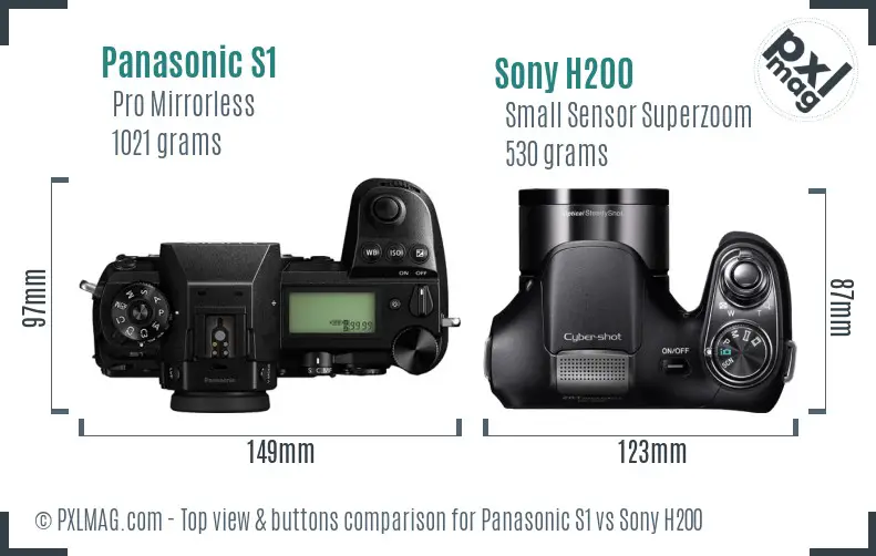 Panasonic S1 vs Sony H200 top view buttons comparison