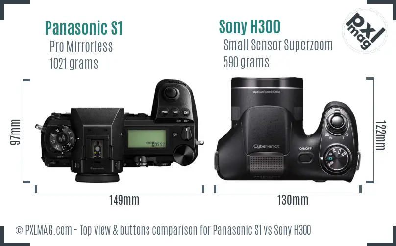 Panasonic S1 vs Sony H300 top view buttons comparison