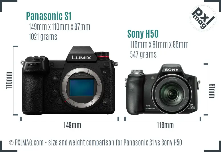 Panasonic S1 vs Sony H50 size comparison