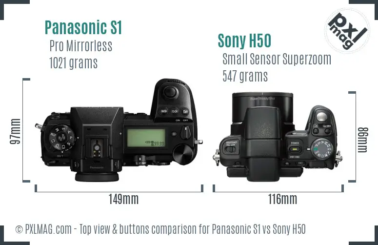 Panasonic S1 vs Sony H50 top view buttons comparison