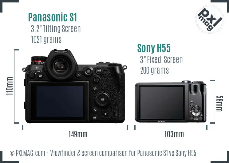 Panasonic S1 vs Sony H55 Screen and Viewfinder comparison