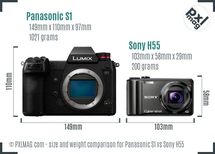 Panasonic S1 vs Sony H55 size comparison