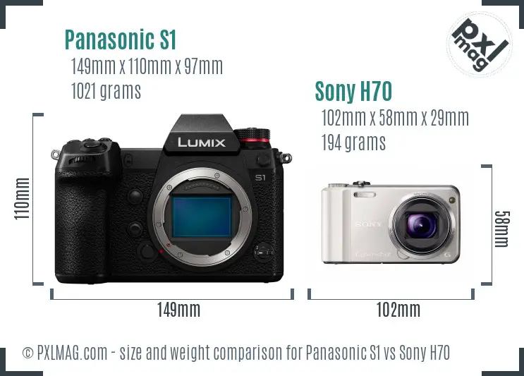 Panasonic S1 vs Sony H70 size comparison