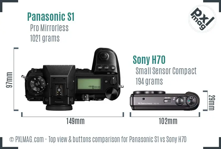 Panasonic S1 vs Sony H70 top view buttons comparison