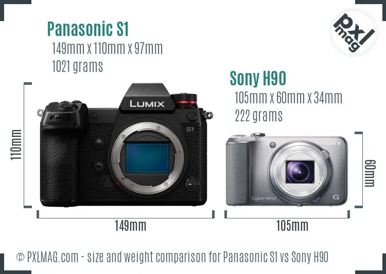 Panasonic S1 vs Sony H90 size comparison
