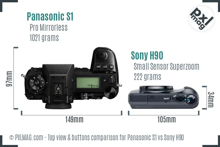 Panasonic S1 vs Sony H90 top view buttons comparison