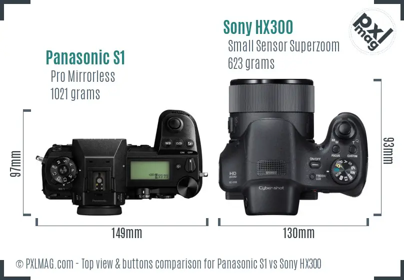 Panasonic S1 vs Sony HX300 top view buttons comparison
