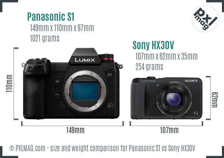 Panasonic S1 vs Sony HX30V size comparison