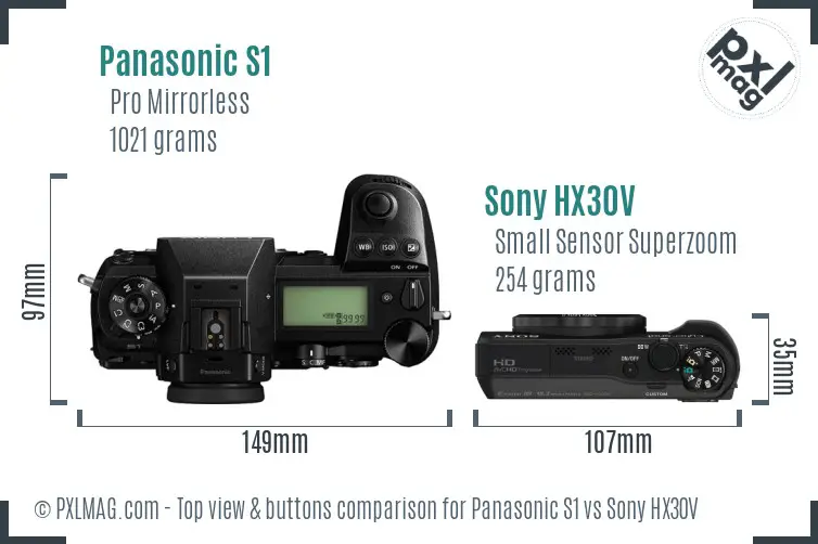Panasonic S1 vs Sony HX30V top view buttons comparison