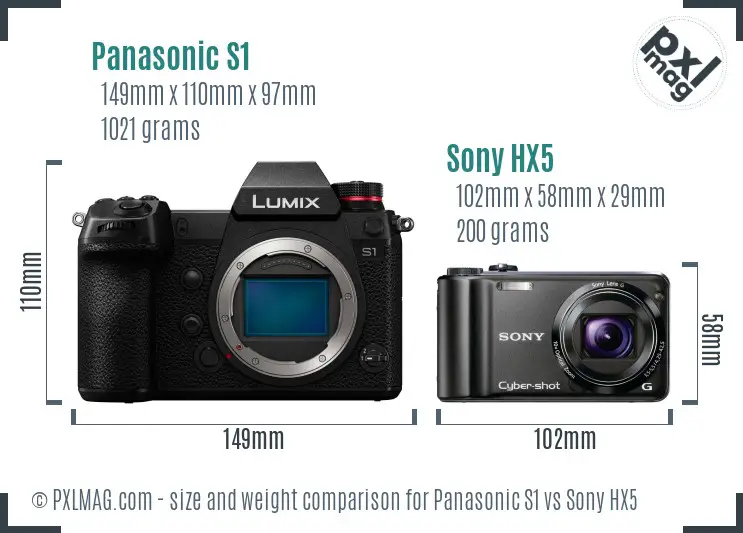 Panasonic S1 vs Sony HX5 size comparison