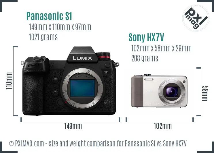 Panasonic S1 vs Sony HX7V size comparison