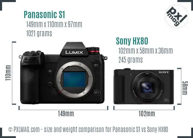 Panasonic S1 vs Sony HX80 size comparison