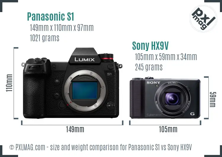 Panasonic S1 vs Sony HX9V size comparison