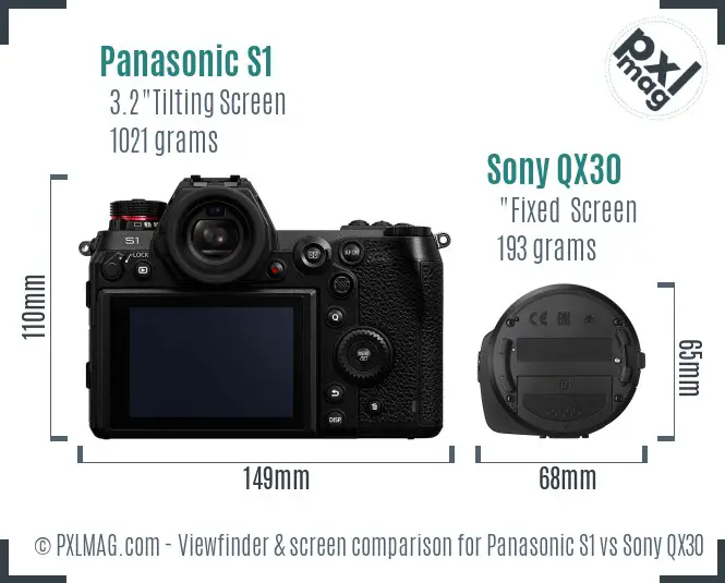 Panasonic S1 vs Sony QX30 Screen and Viewfinder comparison