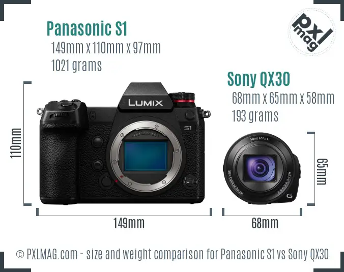 Panasonic S1 vs Sony QX30 size comparison