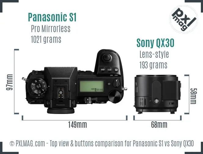 Panasonic S1 vs Sony QX30 top view buttons comparison