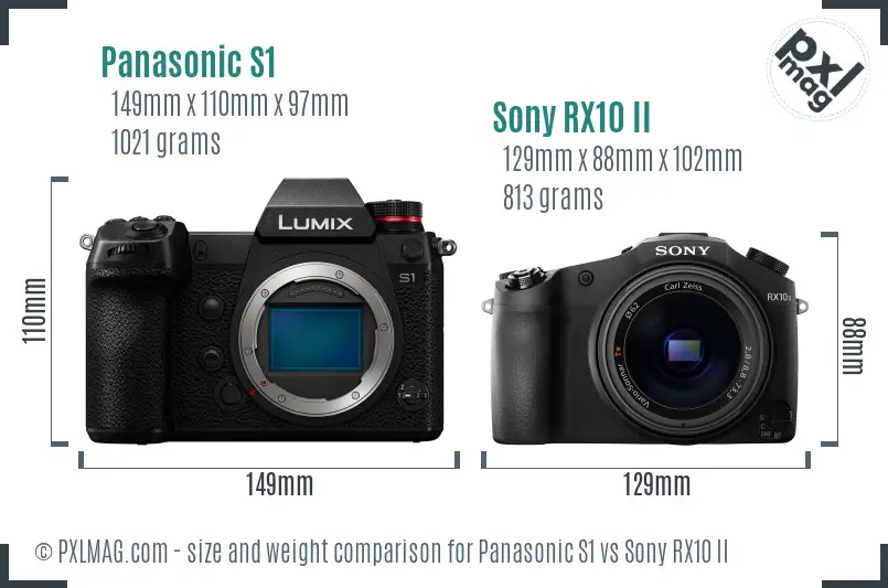 Panasonic S1 vs Sony RX10 II size comparison