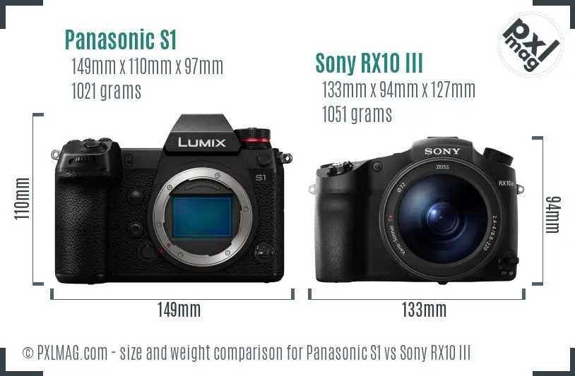 Panasonic S1 vs Sony RX10 III size comparison