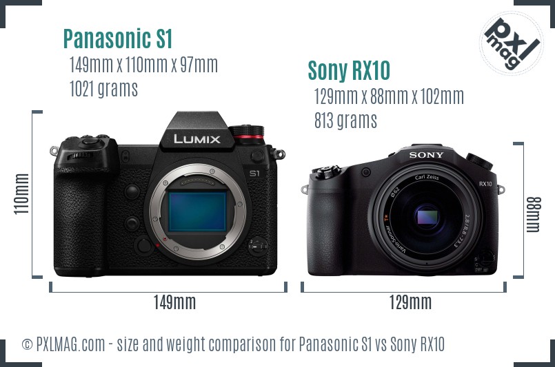 Panasonic S1 vs Sony RX10 size comparison