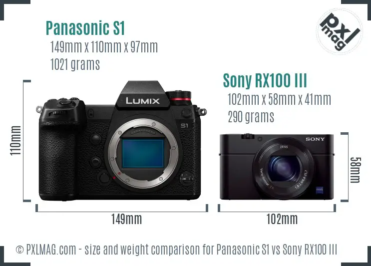 Panasonic S1 vs Sony RX100 III size comparison