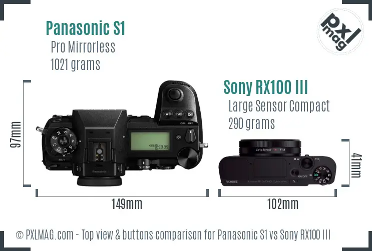 Panasonic S1 vs Sony RX100 III top view buttons comparison
