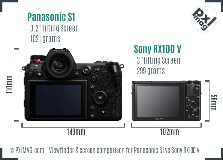 Panasonic S1 vs Sony RX100 V Screen and Viewfinder comparison