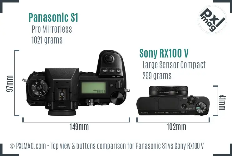 Panasonic S1 vs Sony RX100 V top view buttons comparison