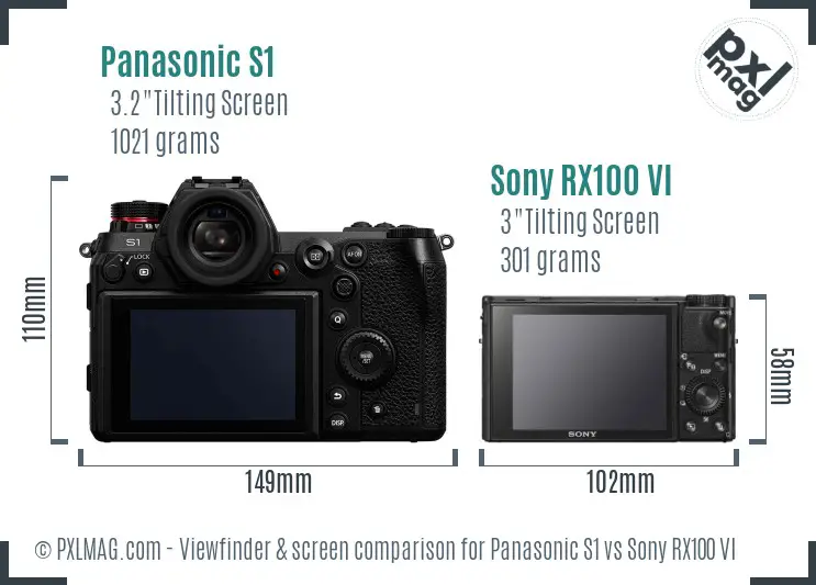 Panasonic S1 vs Sony RX100 VI Screen and Viewfinder comparison