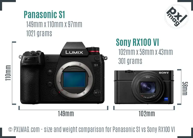 Panasonic S1 vs Sony RX100 VI size comparison