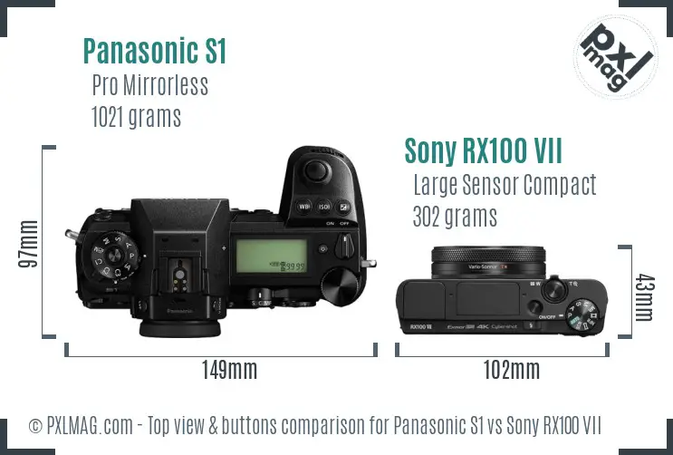 Panasonic S1 vs Sony RX100 VII top view buttons comparison