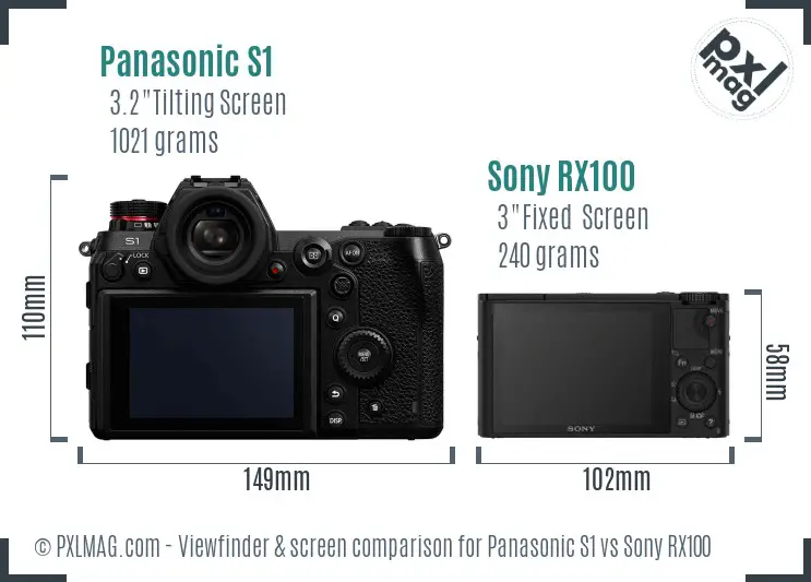 Panasonic S1 vs Sony RX100 Screen and Viewfinder comparison