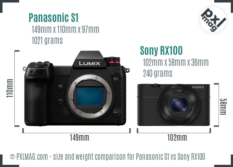 Panasonic S1 vs Sony RX100 size comparison