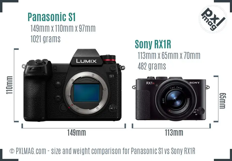 Panasonic S1 vs Sony RX1R size comparison