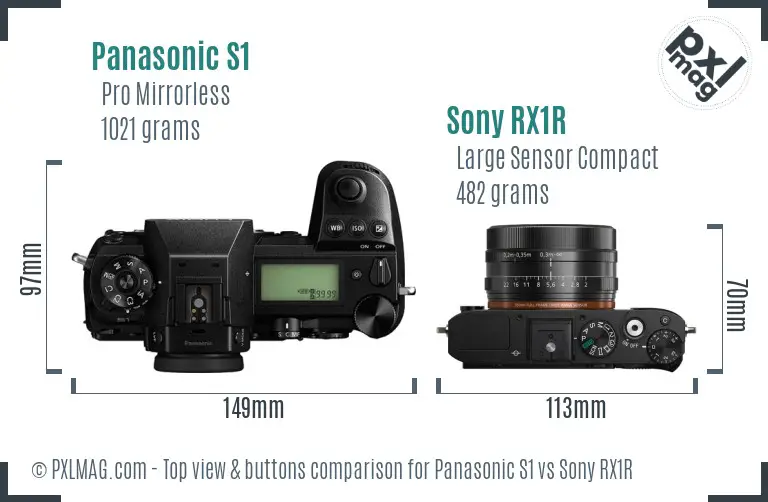 Panasonic S1 vs Sony RX1R top view buttons comparison